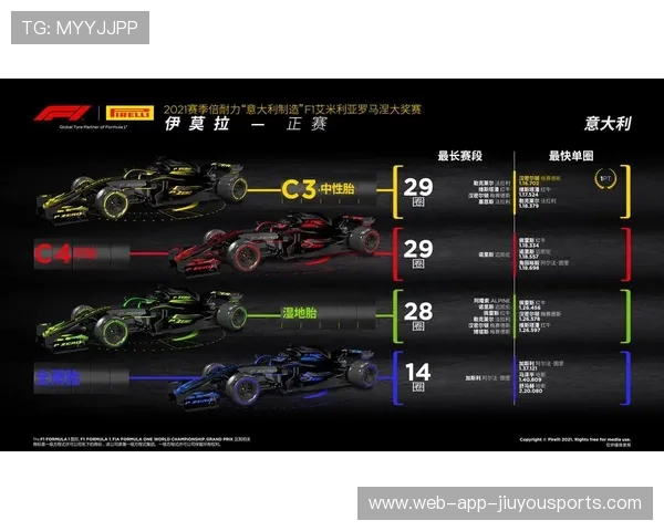 世界拉力锦标赛赛季策略数据化研究（263 ）